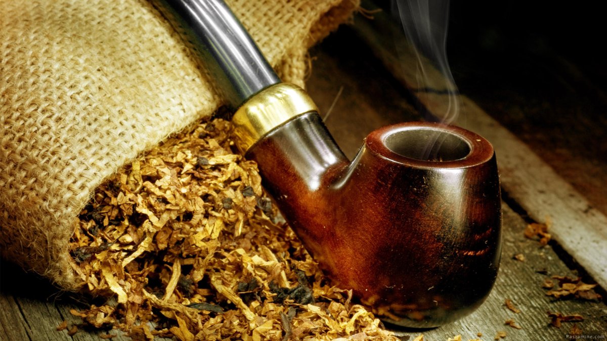 Табак Nicotiana tabacum