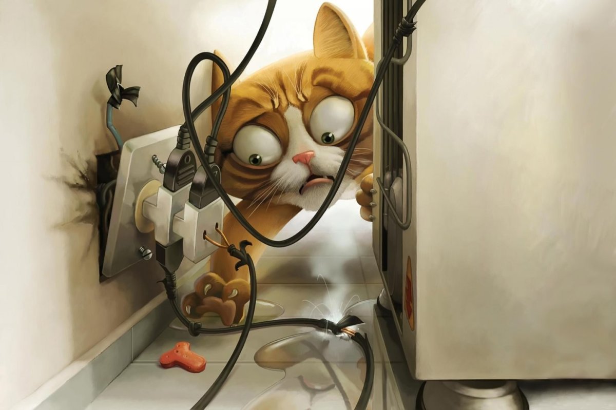 Креативные котики