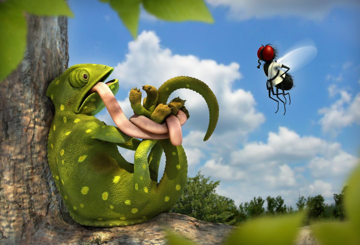 Фотообои смешные