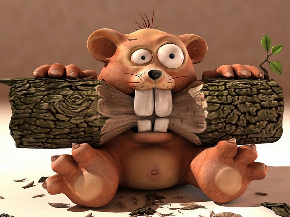 Прикольные картинки на заставку компьютера