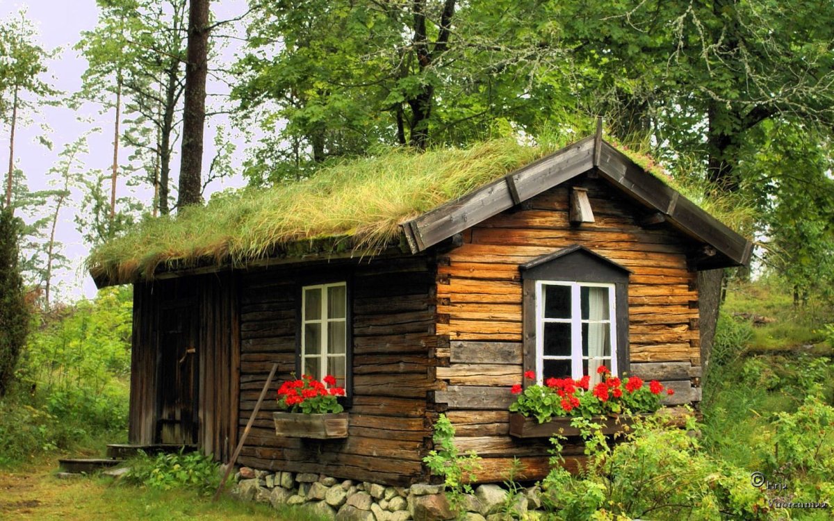 Изба в лесу