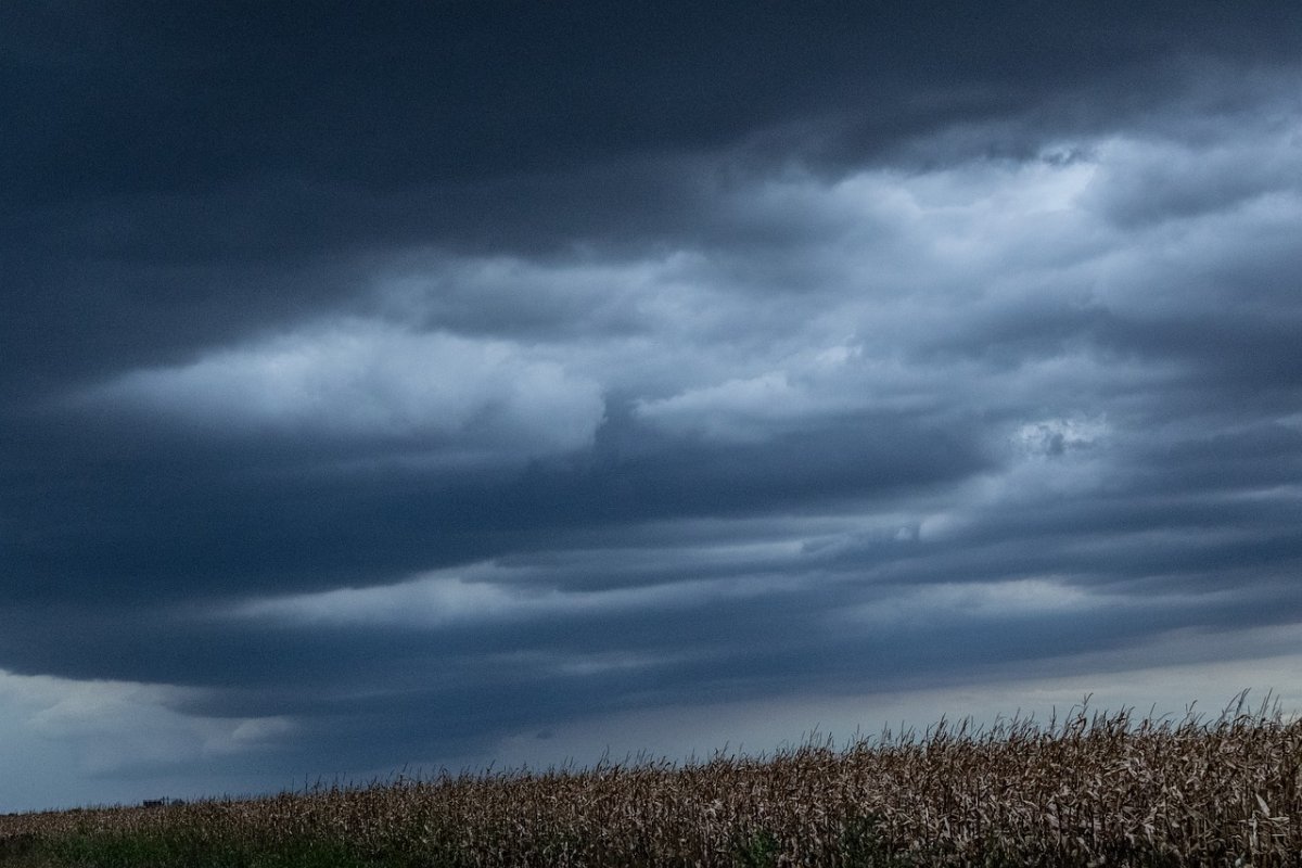 Грозовые тучи
