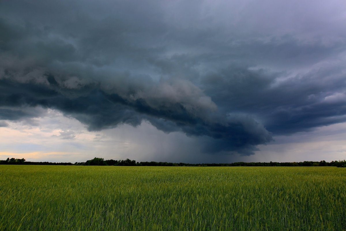 Надвигающиеся тучи