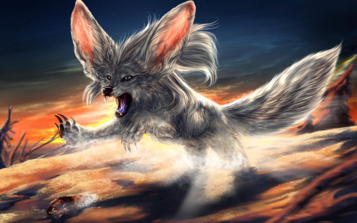 Лисички фенек