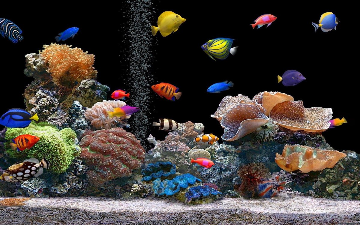 Экранная заставка аквариум