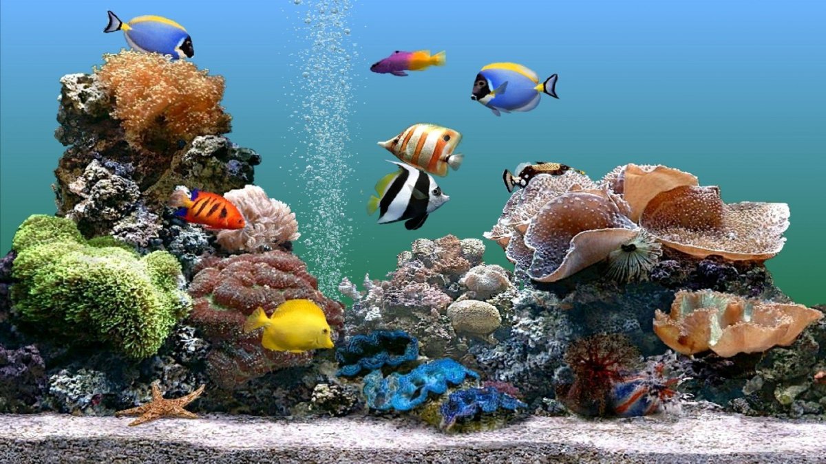 Природа лес водопад