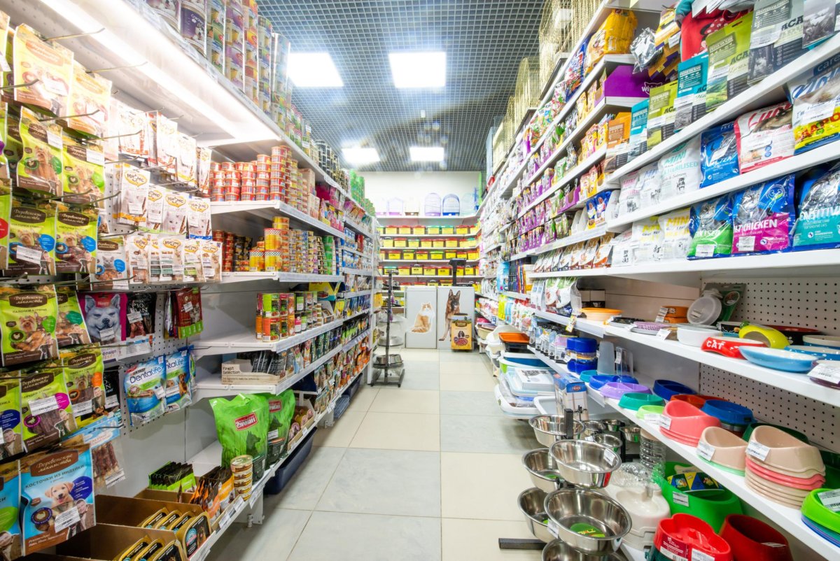 Домашние питомцы