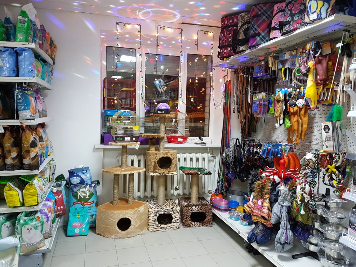 Зоомагазин баннер