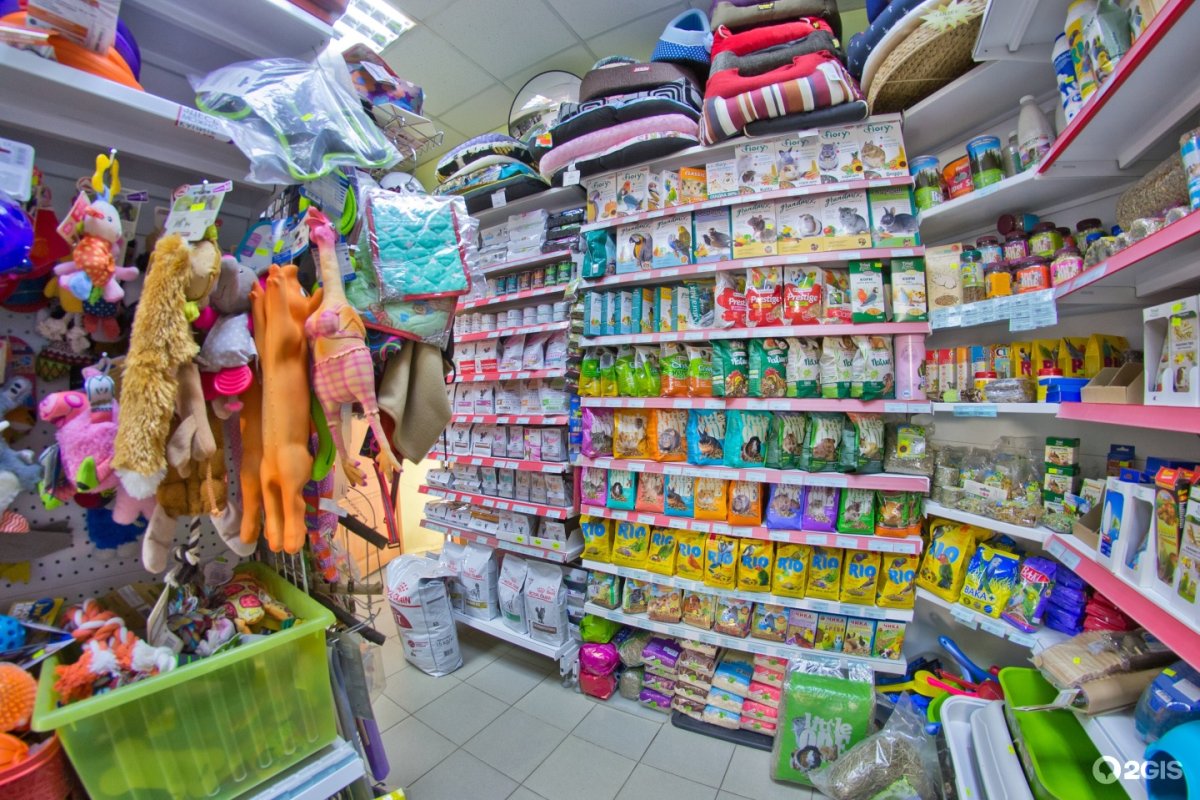 Выкладка зоотоваров