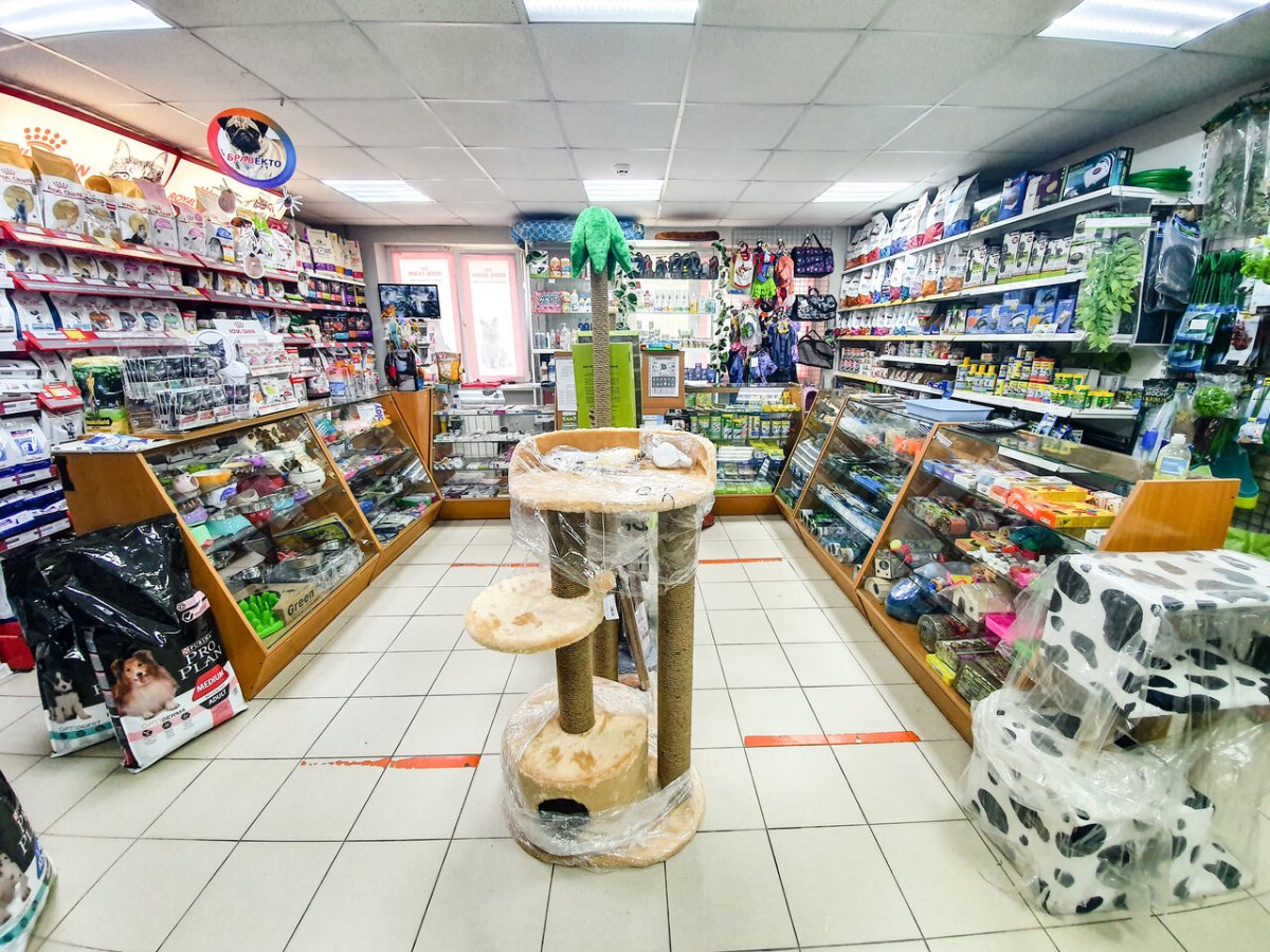 Миски в зоомагазине фото