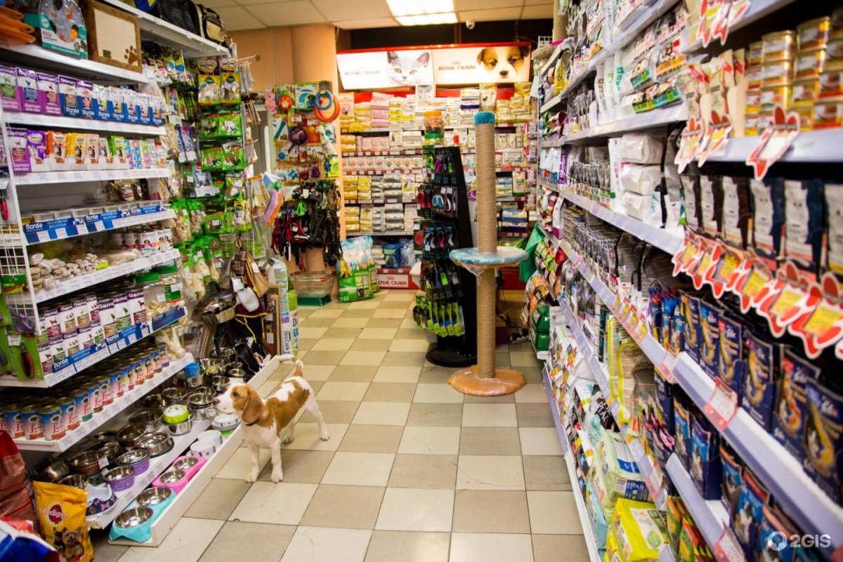 Товары для животных