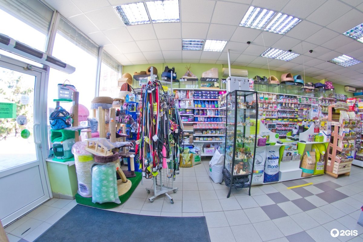 Собака в магазине