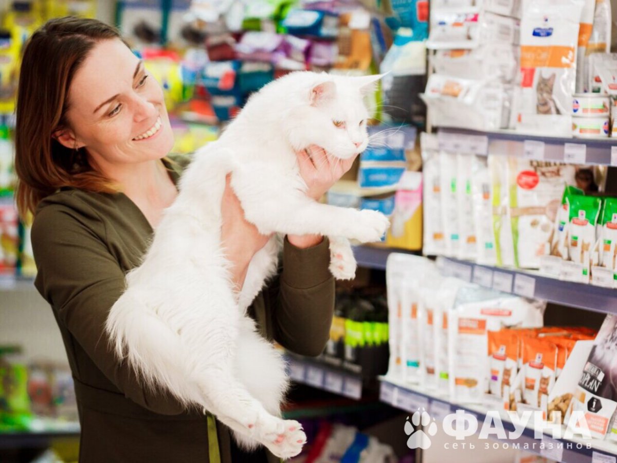 Магазин для животных