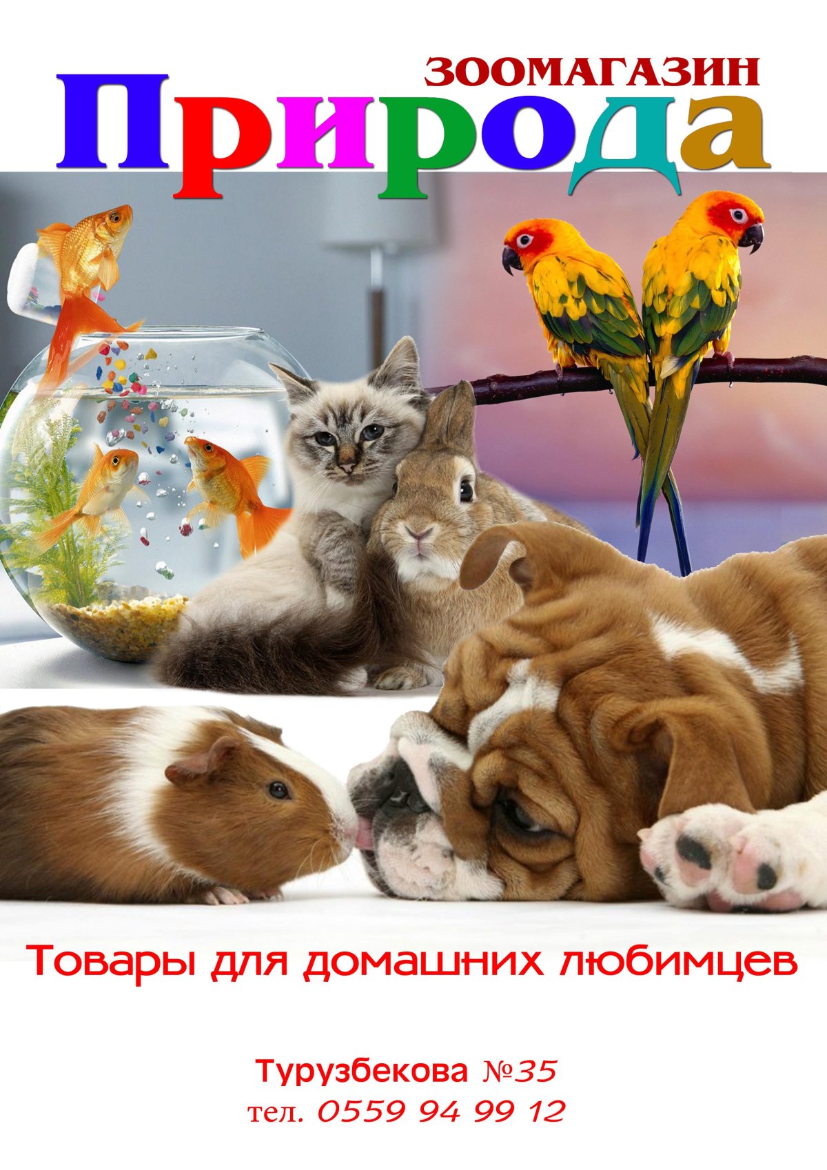 Интерьер зоомагазина