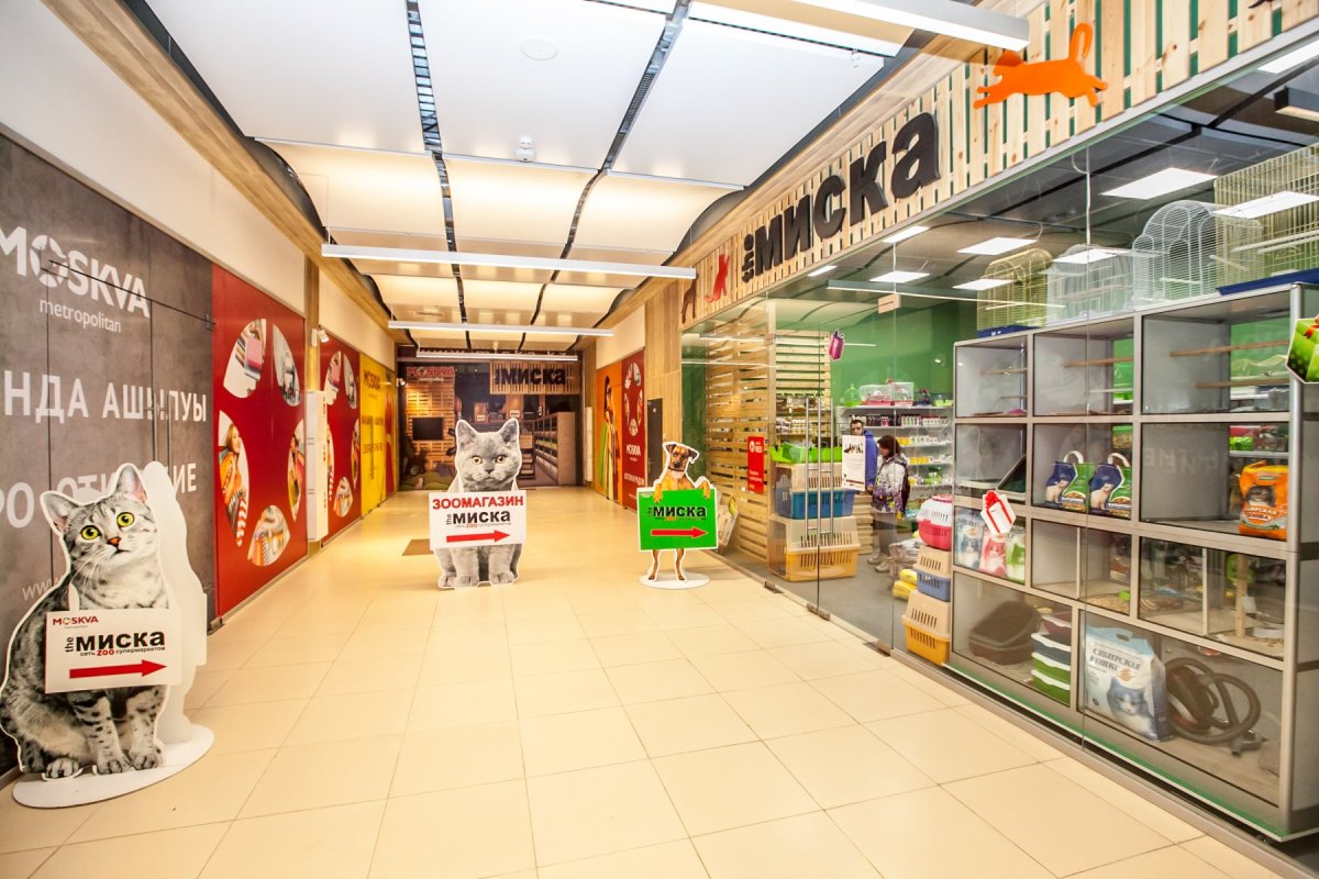 Зоомагазин животные