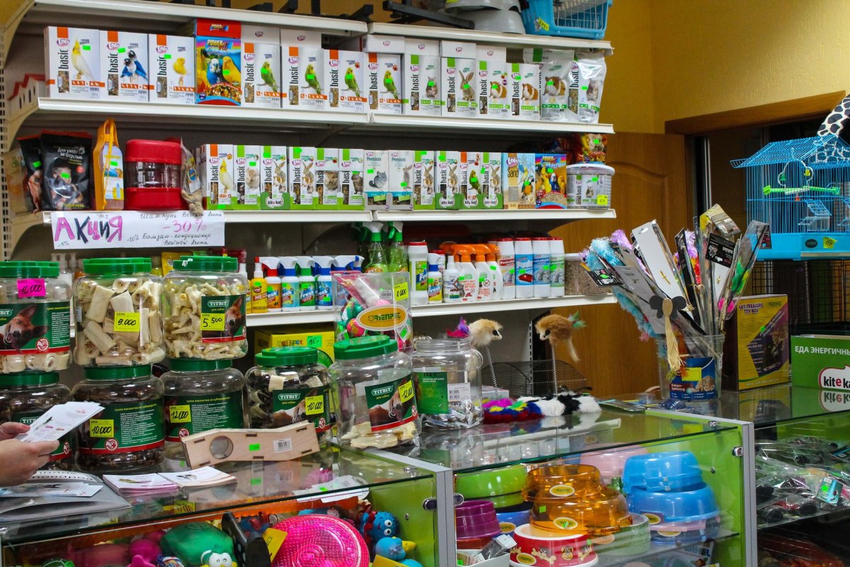 Магазин зоотоваров