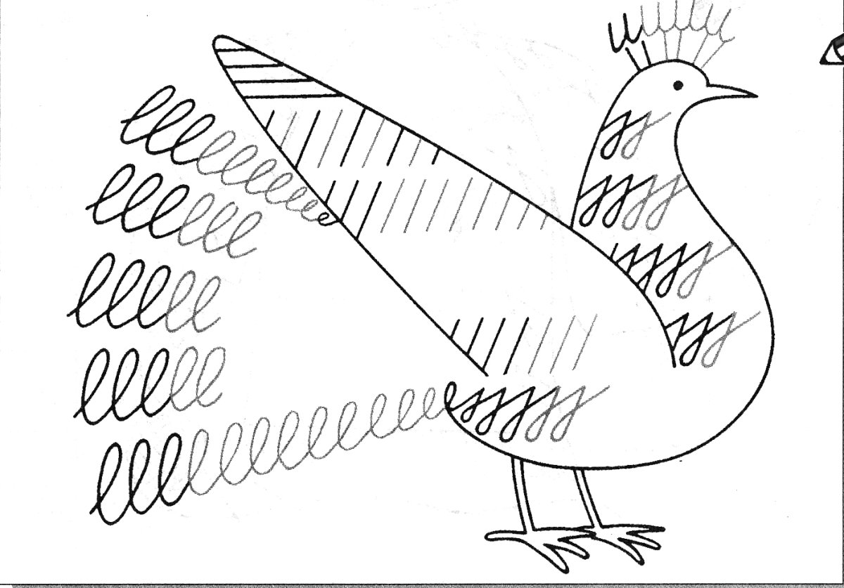 Прописи для дошкольников птицы