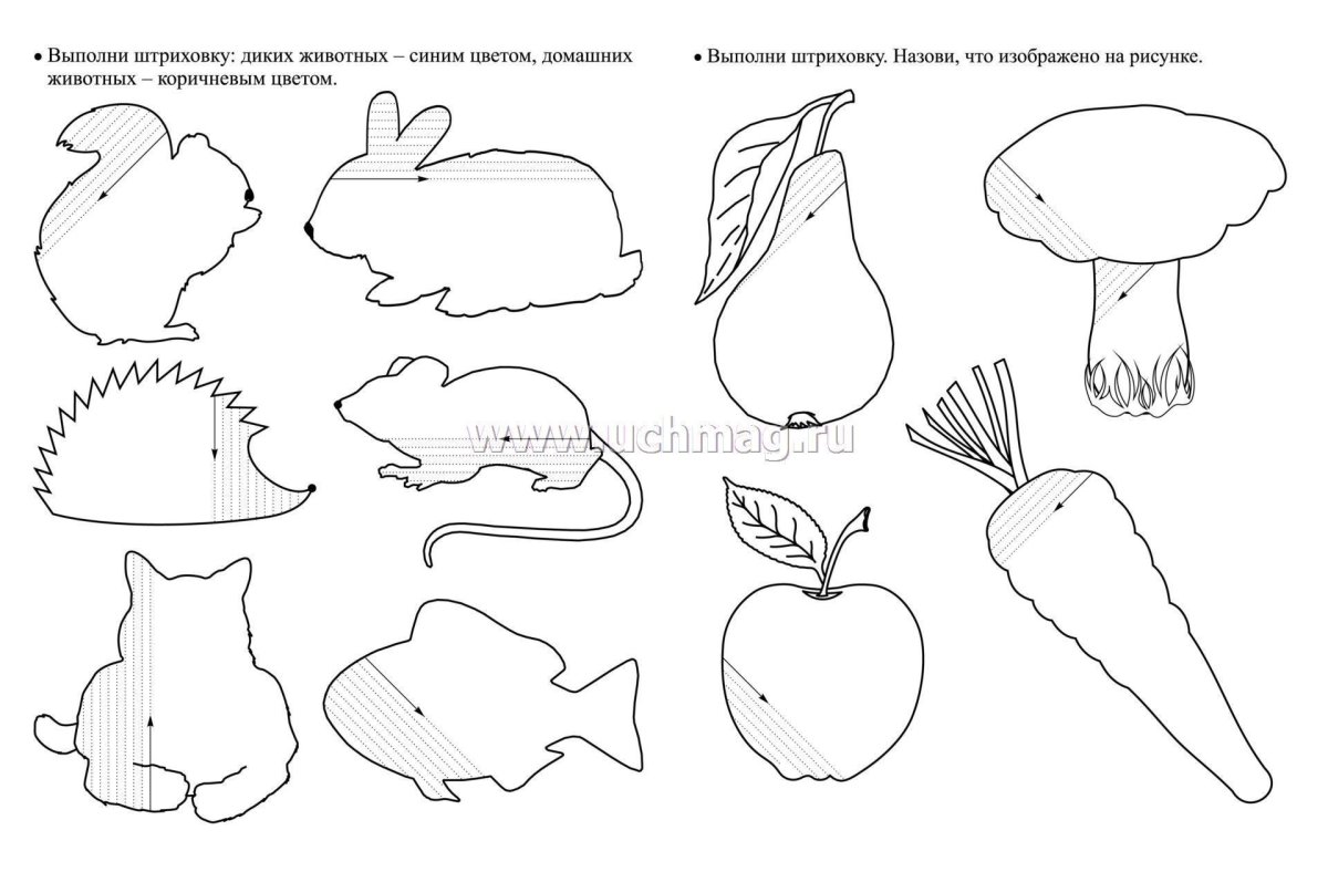 Упражнения на штриховку для дошкольников