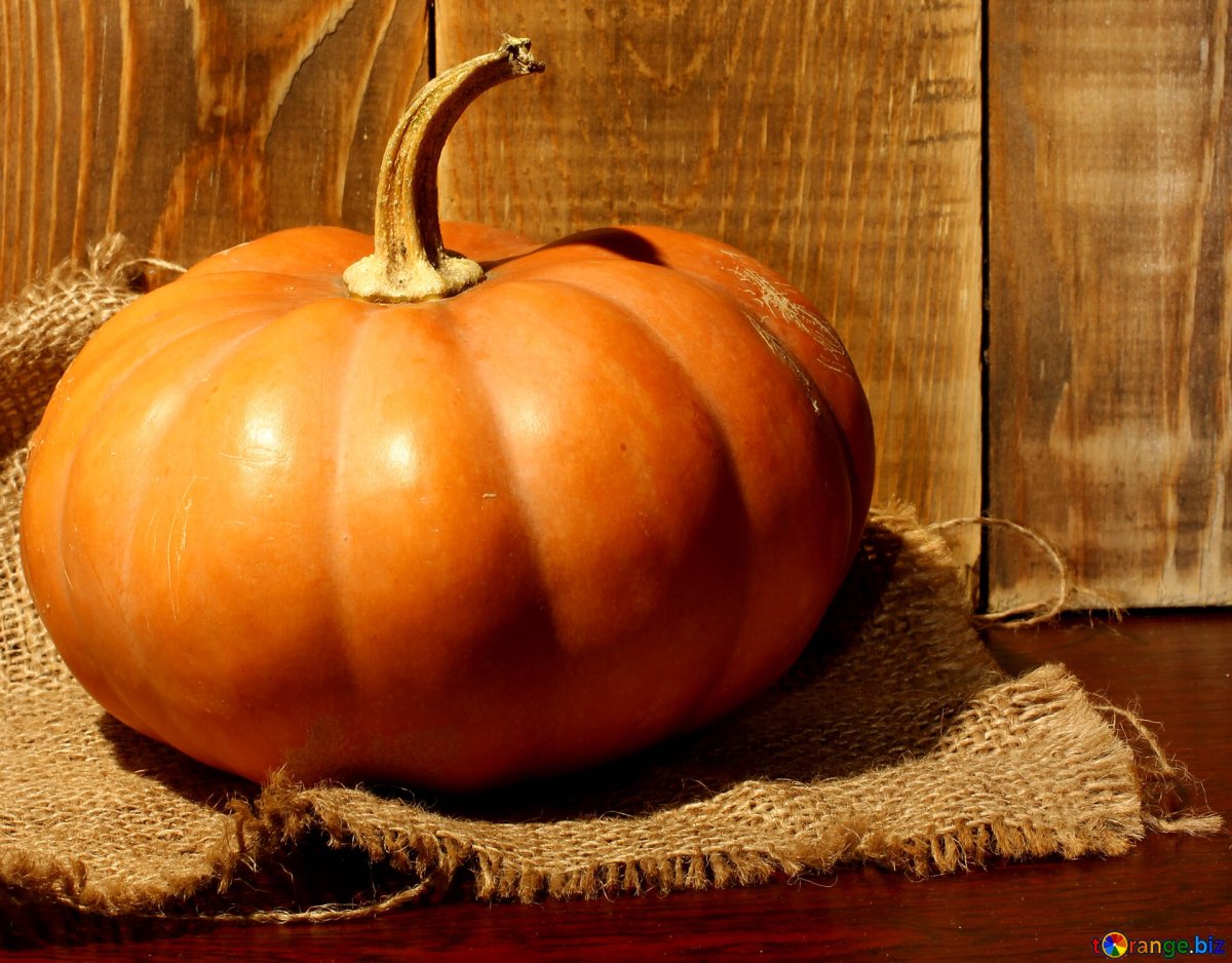 Тыква русская