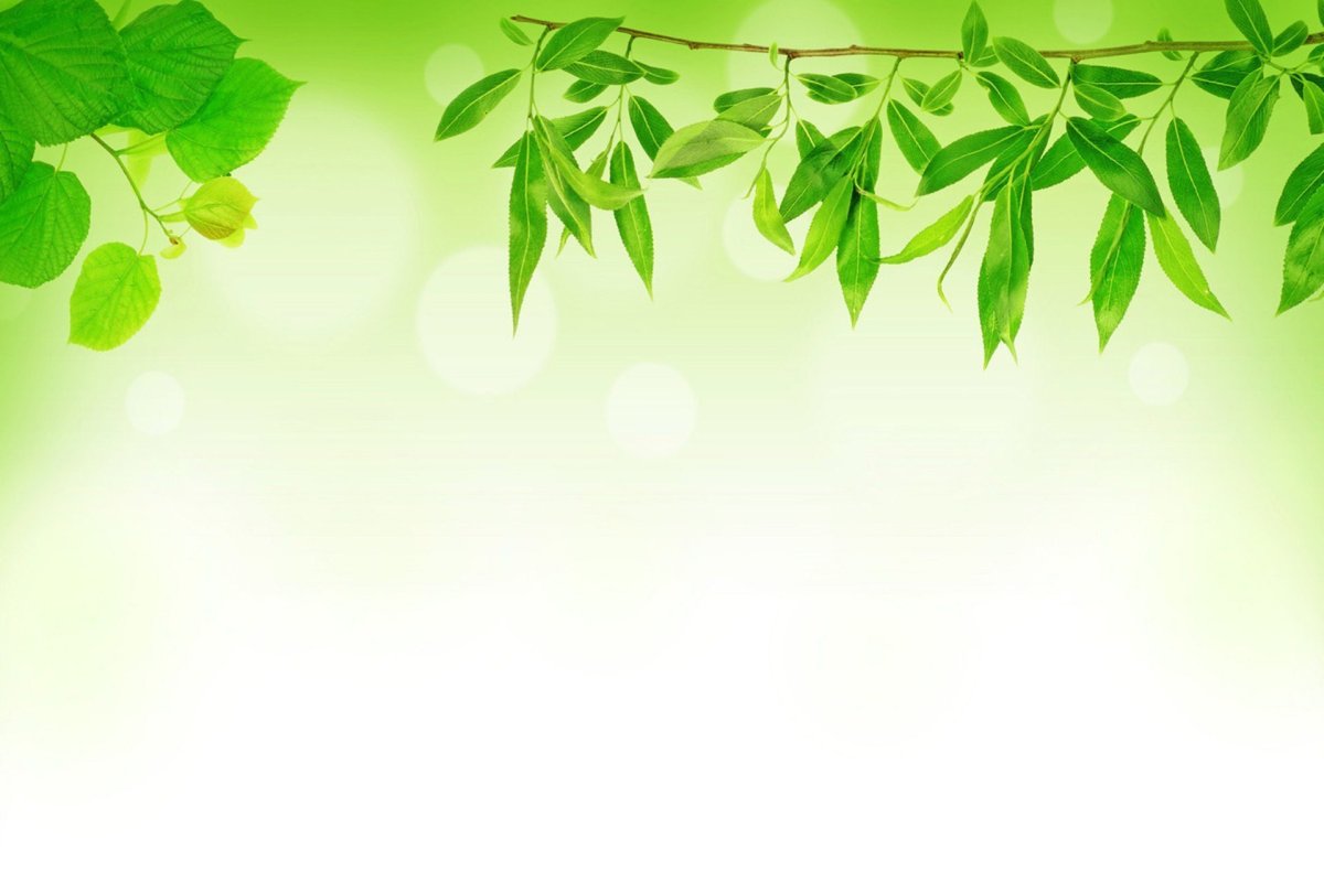 Растительный фон для презентации