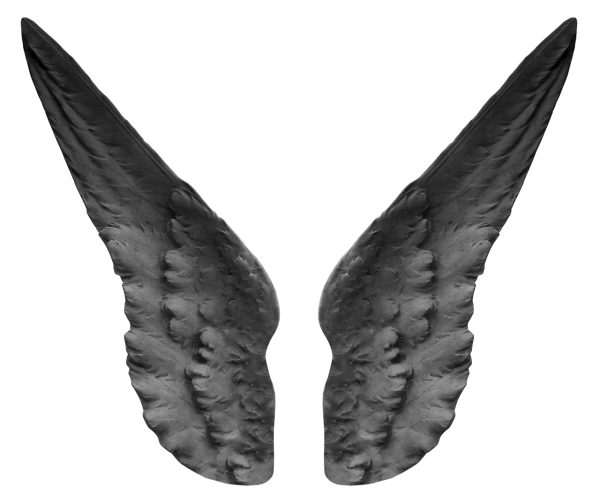 Крылья ангела