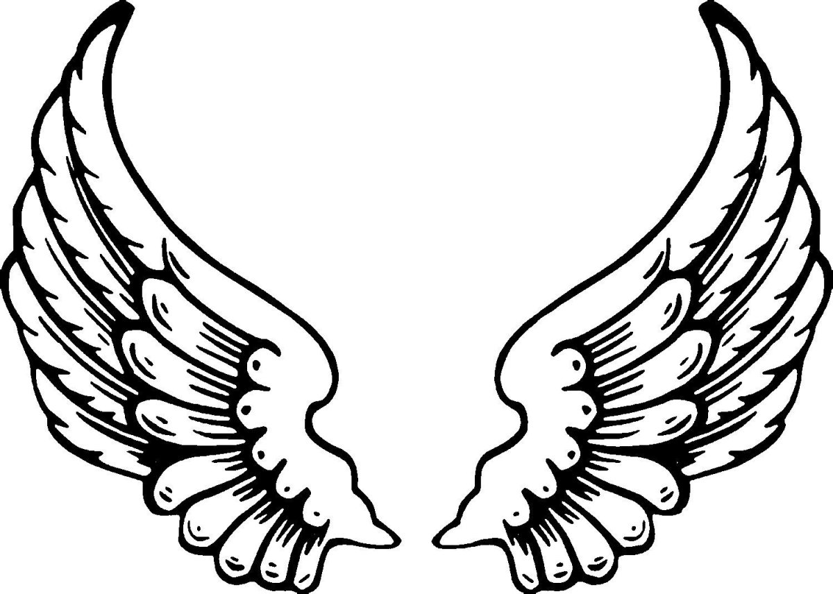 Тату Крылья