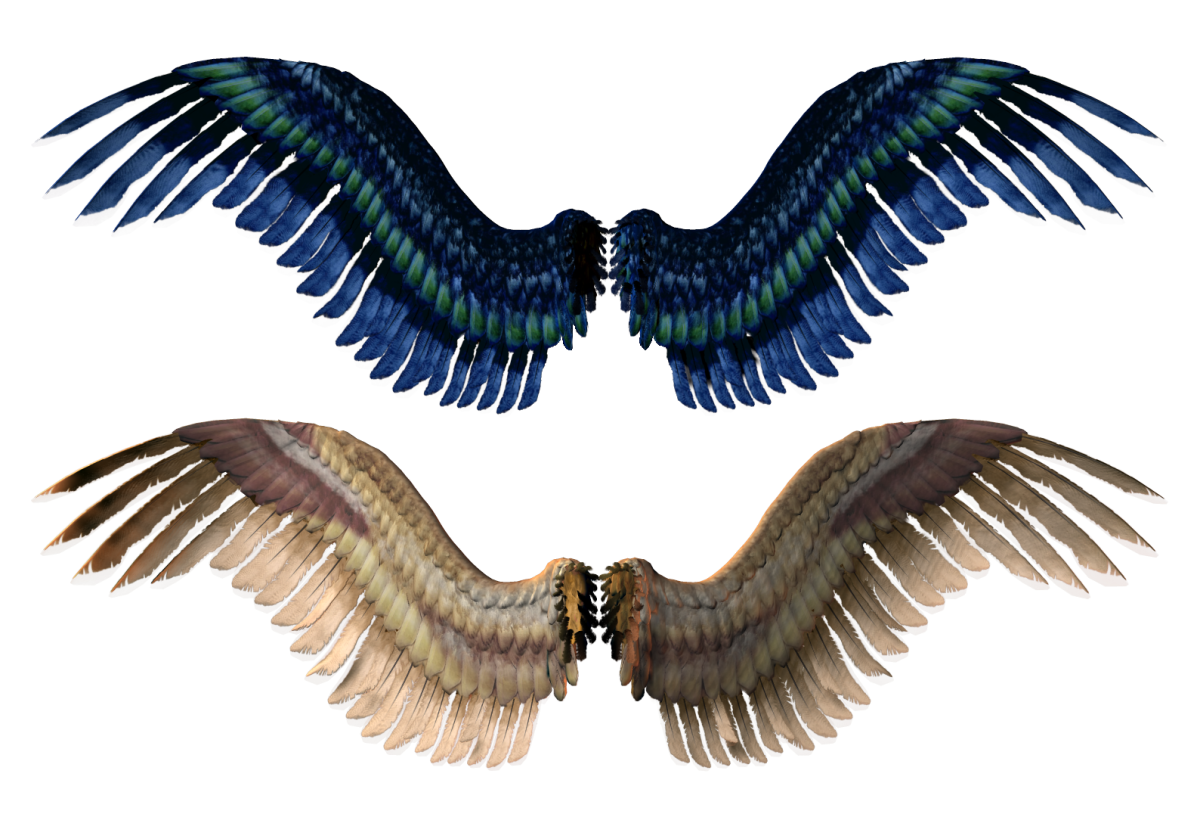 Крылья ангела