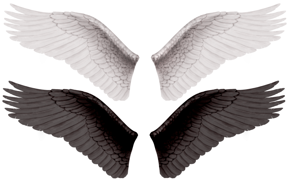 Крылья ангела