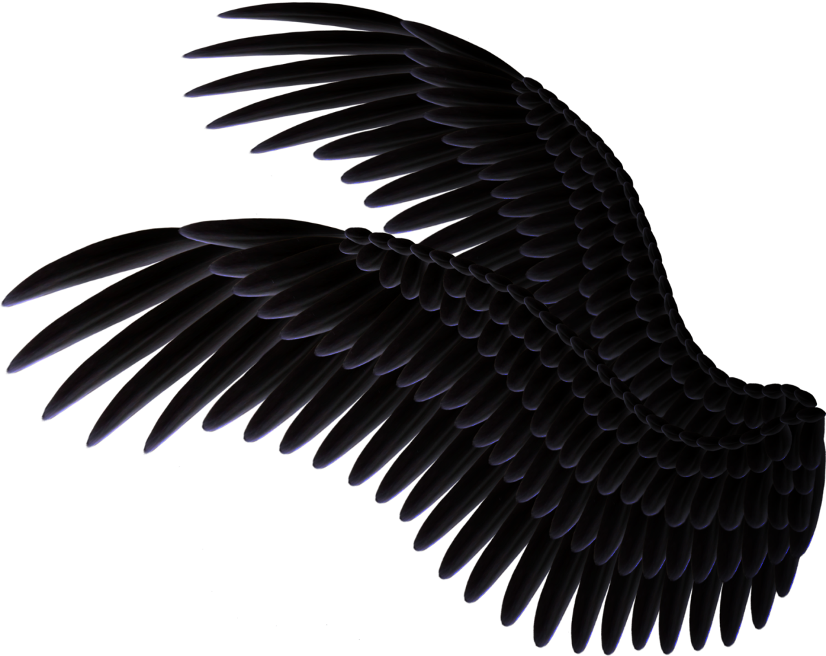 Черные Крылья