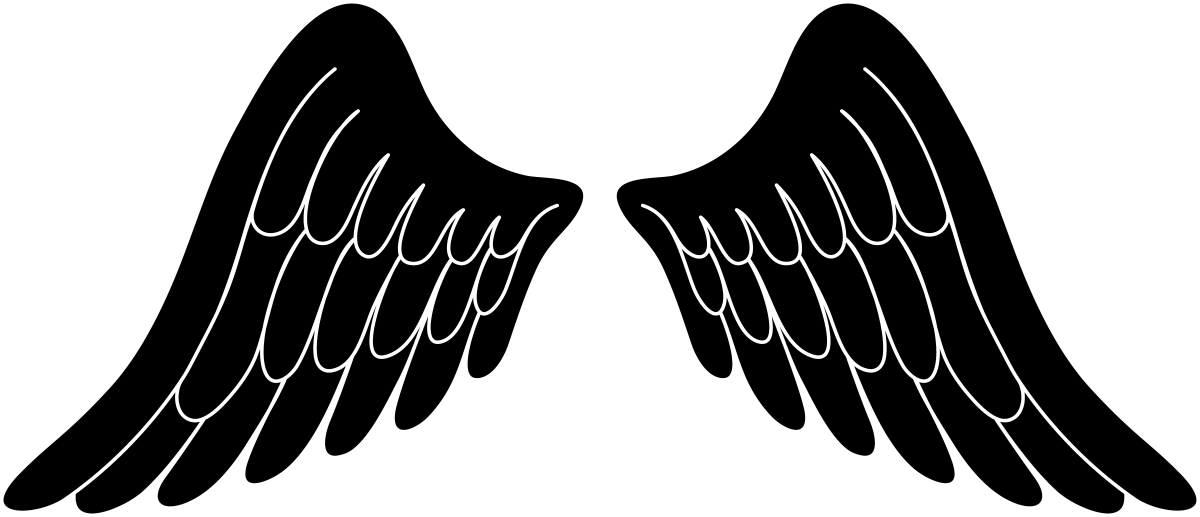 Крылья ангела