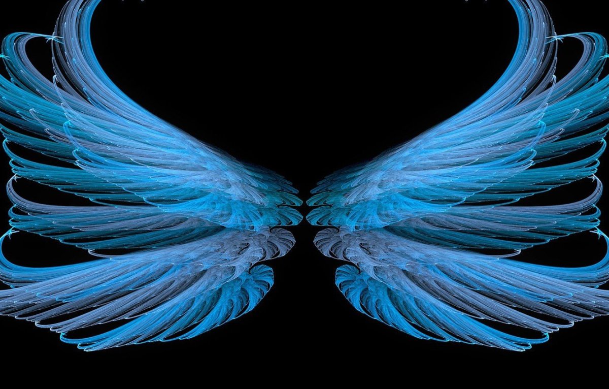 Красивые Крылья