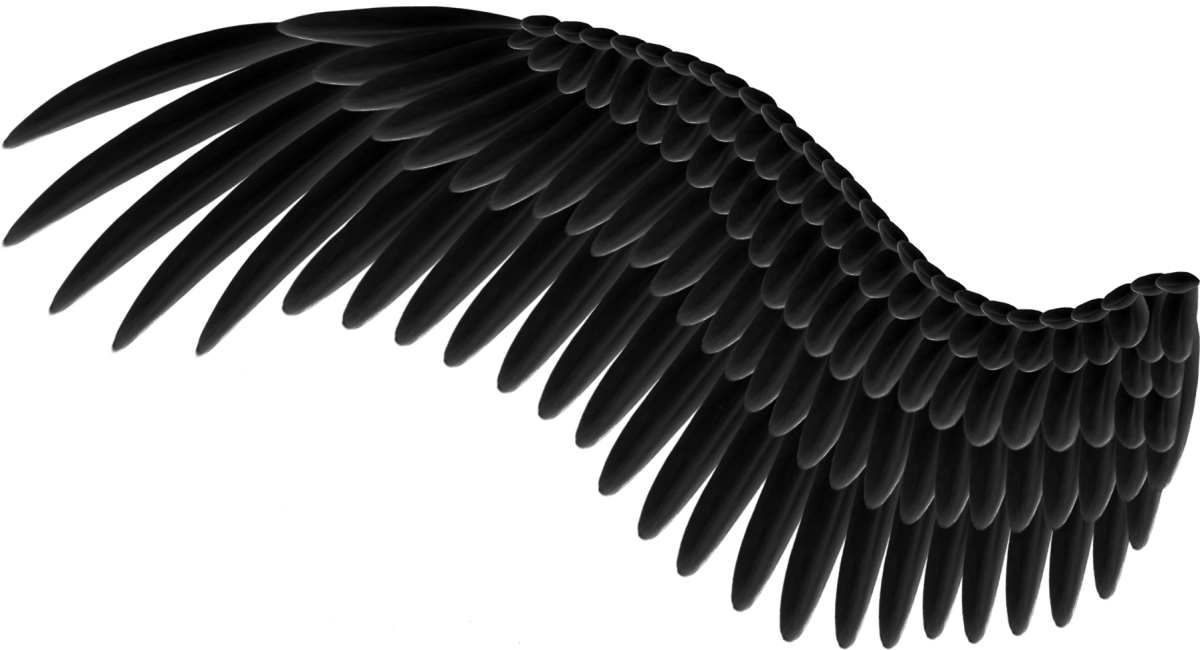 Черные Крылья