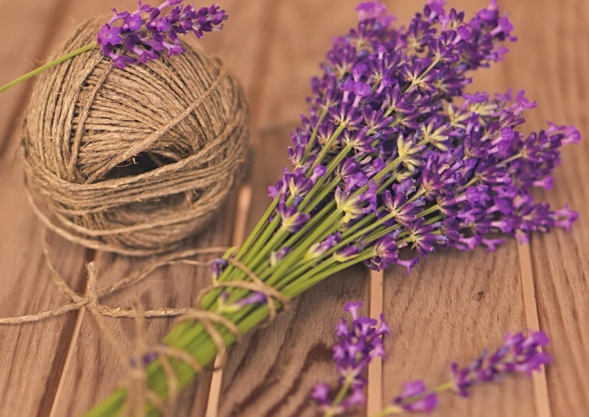 Лаванда элементы