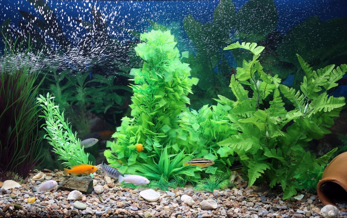 Акваскейп мшарник