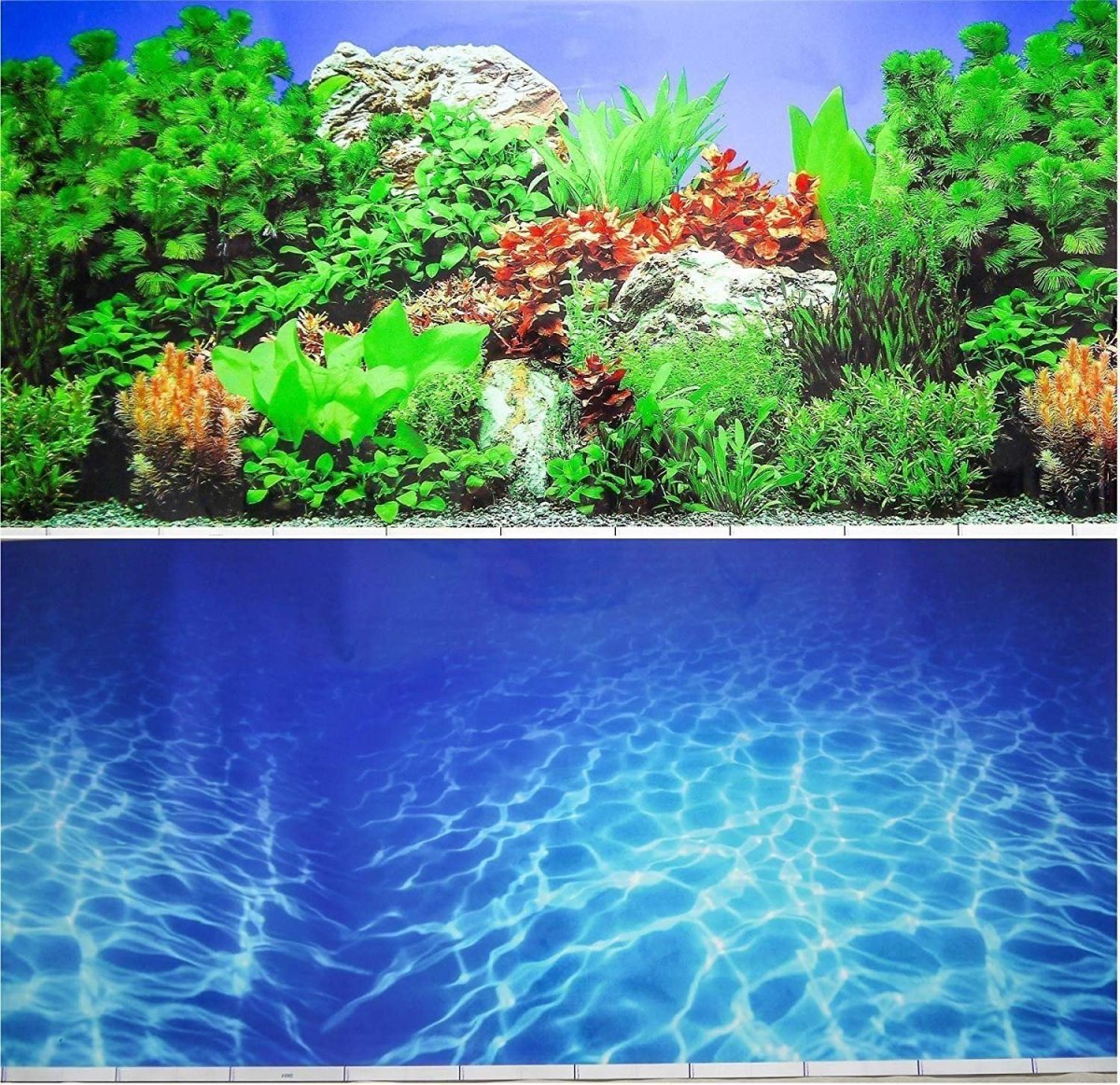 Красивые аквариумы с растениями