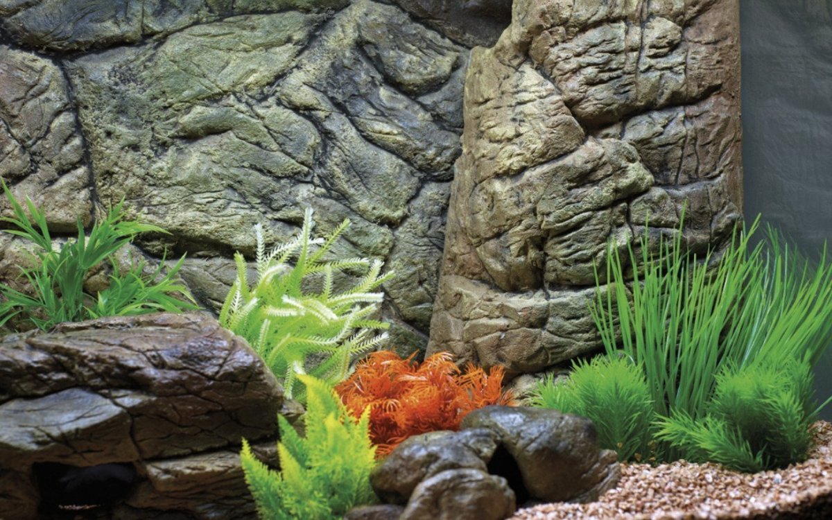 Задний фон для аквариума