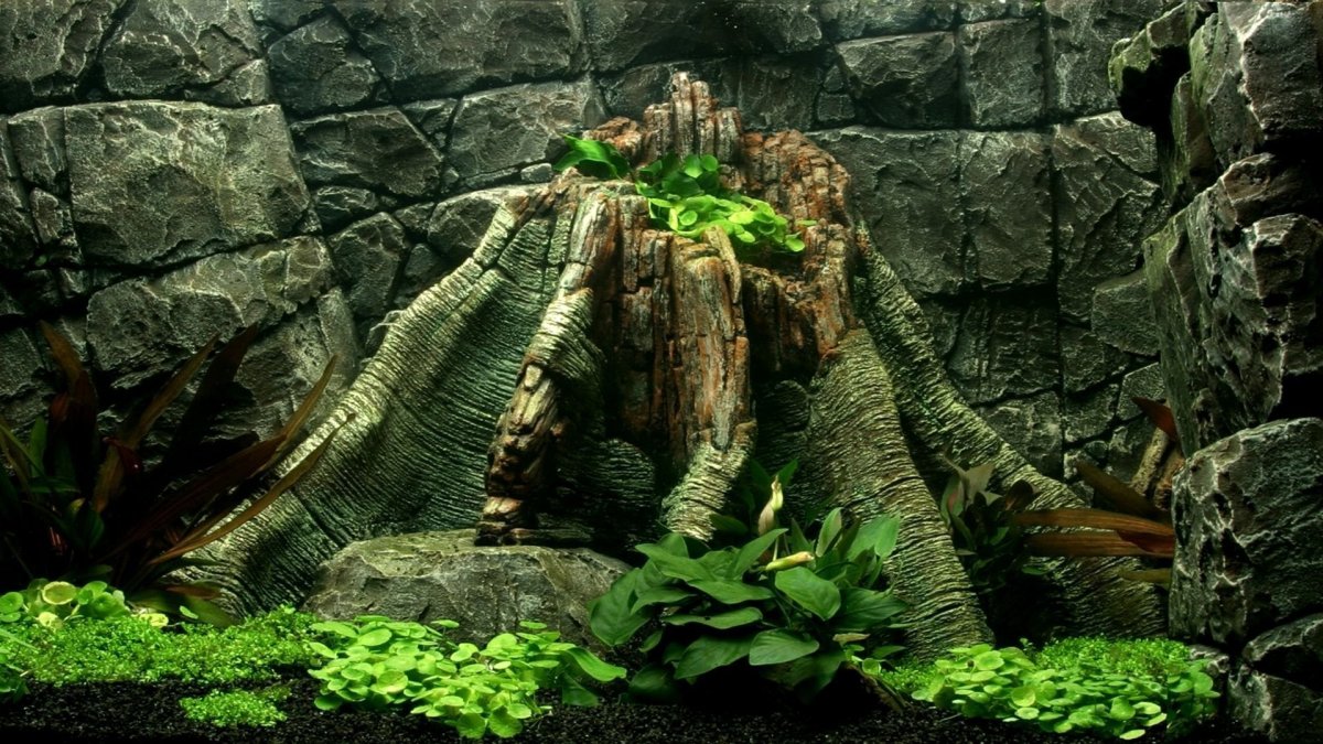 Акваскейп Амано