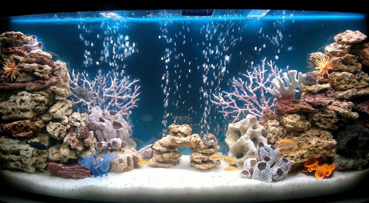 Морское дно