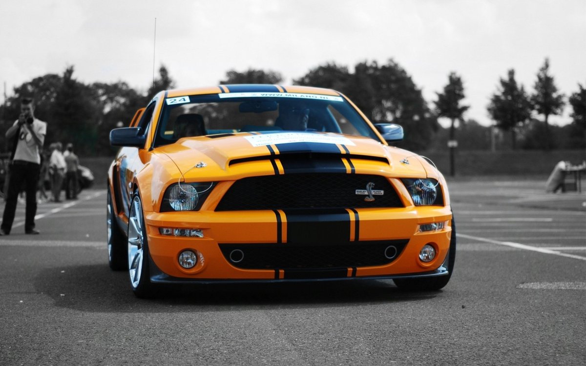 Ford Mustang Shelby Cobra gt500