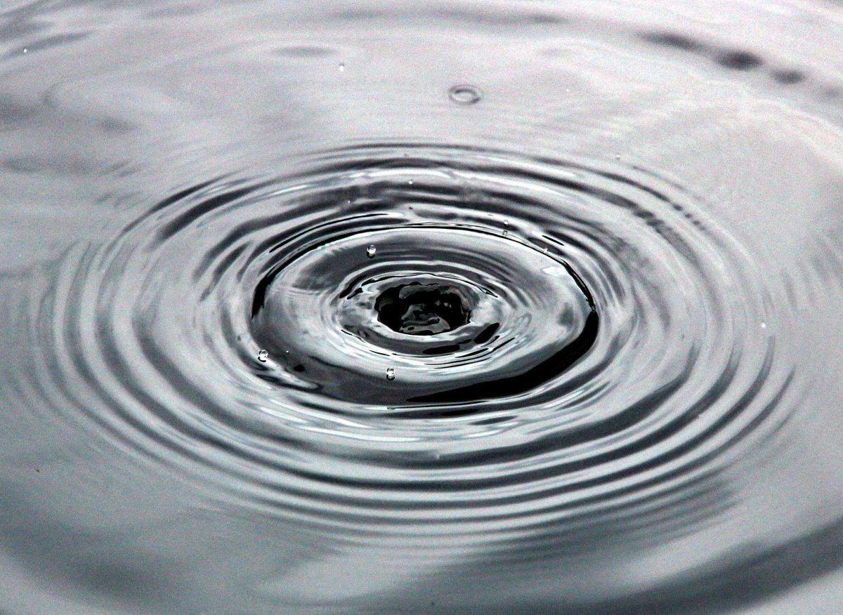Круги на воде город
