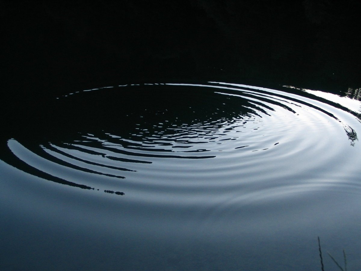 Река круги на воде