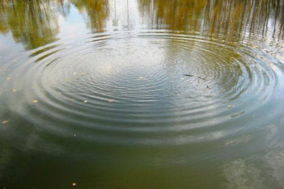 Водная гладь с кругами