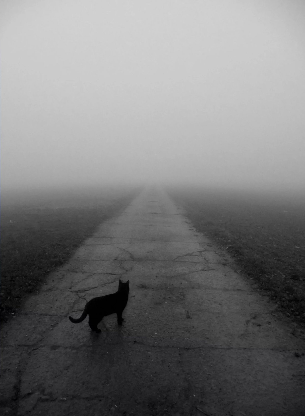 Серое одиночество