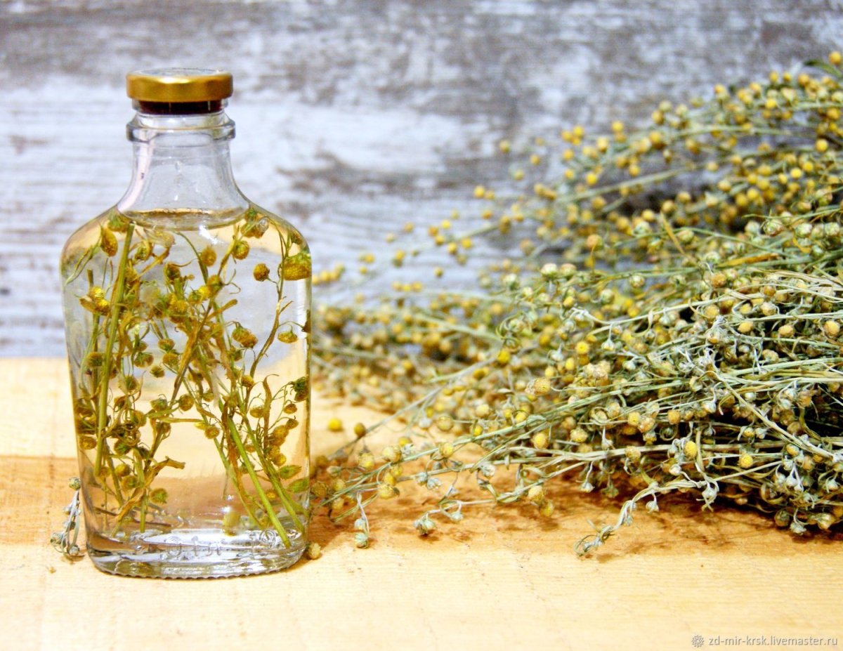 Полынь обыкновенная препараты