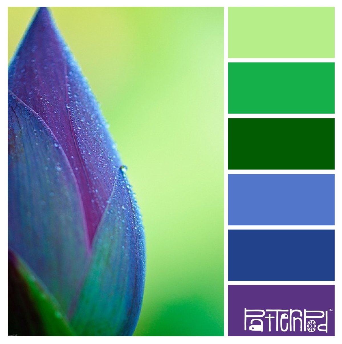 Палитра цветов для дизайнера