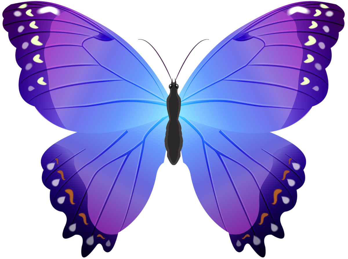 Бабочка фиолетовая