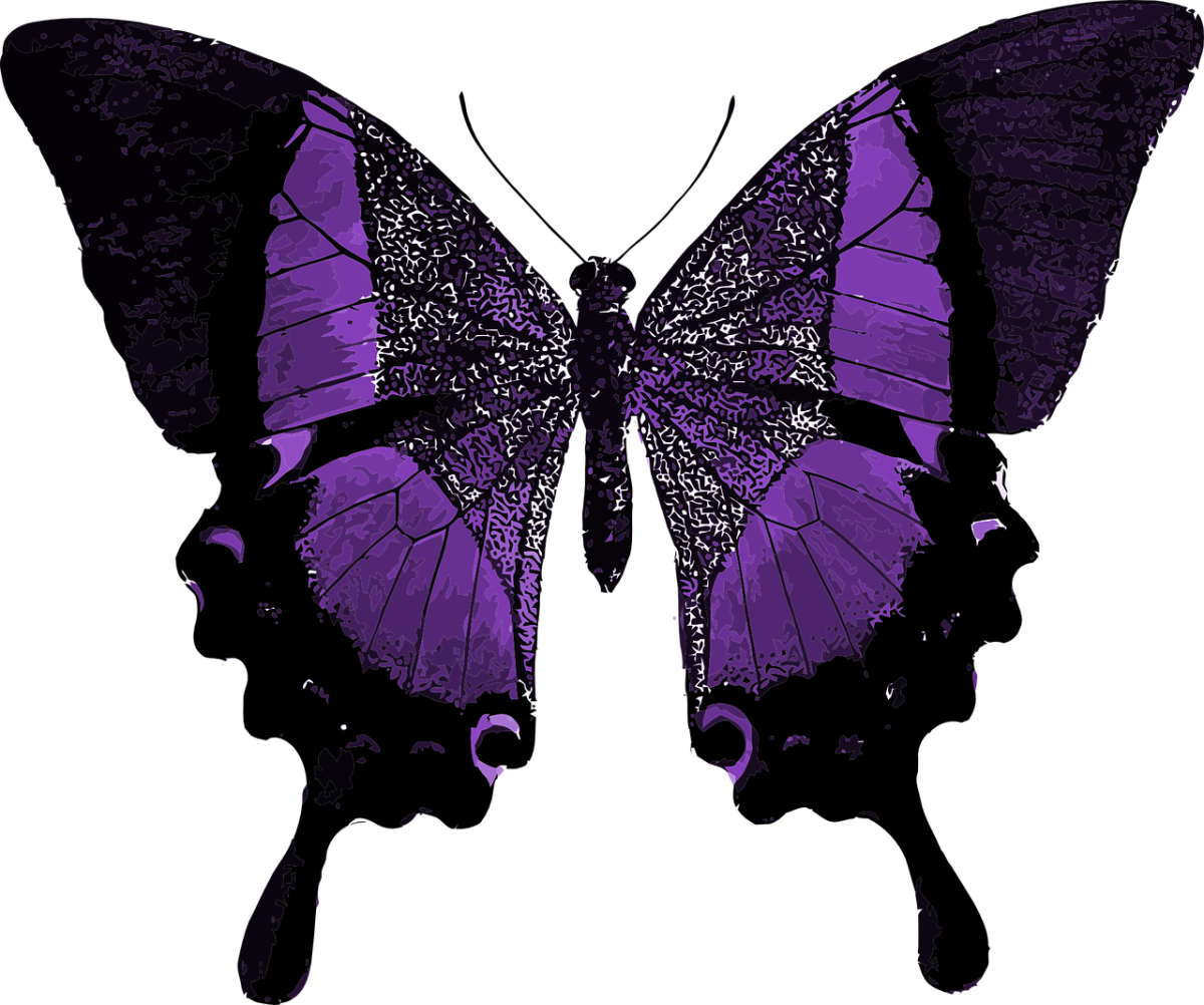 Бабочка фиолетовая