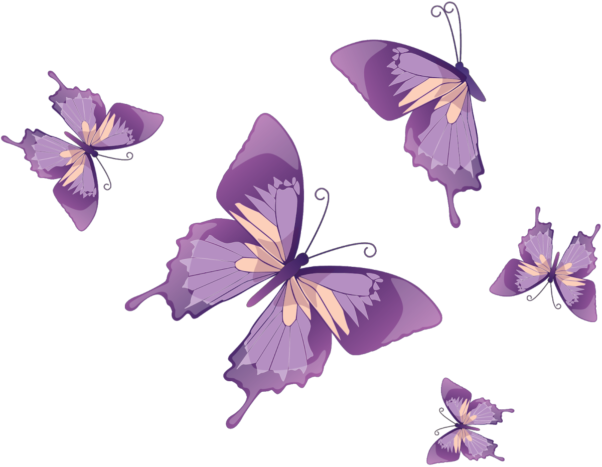 Красивые фиолетовые бабочки