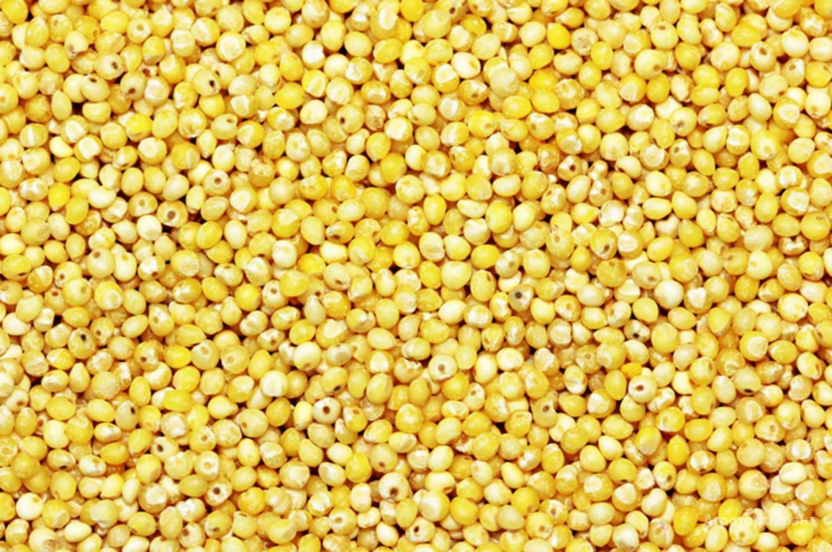 Крупа пшено шлифованное