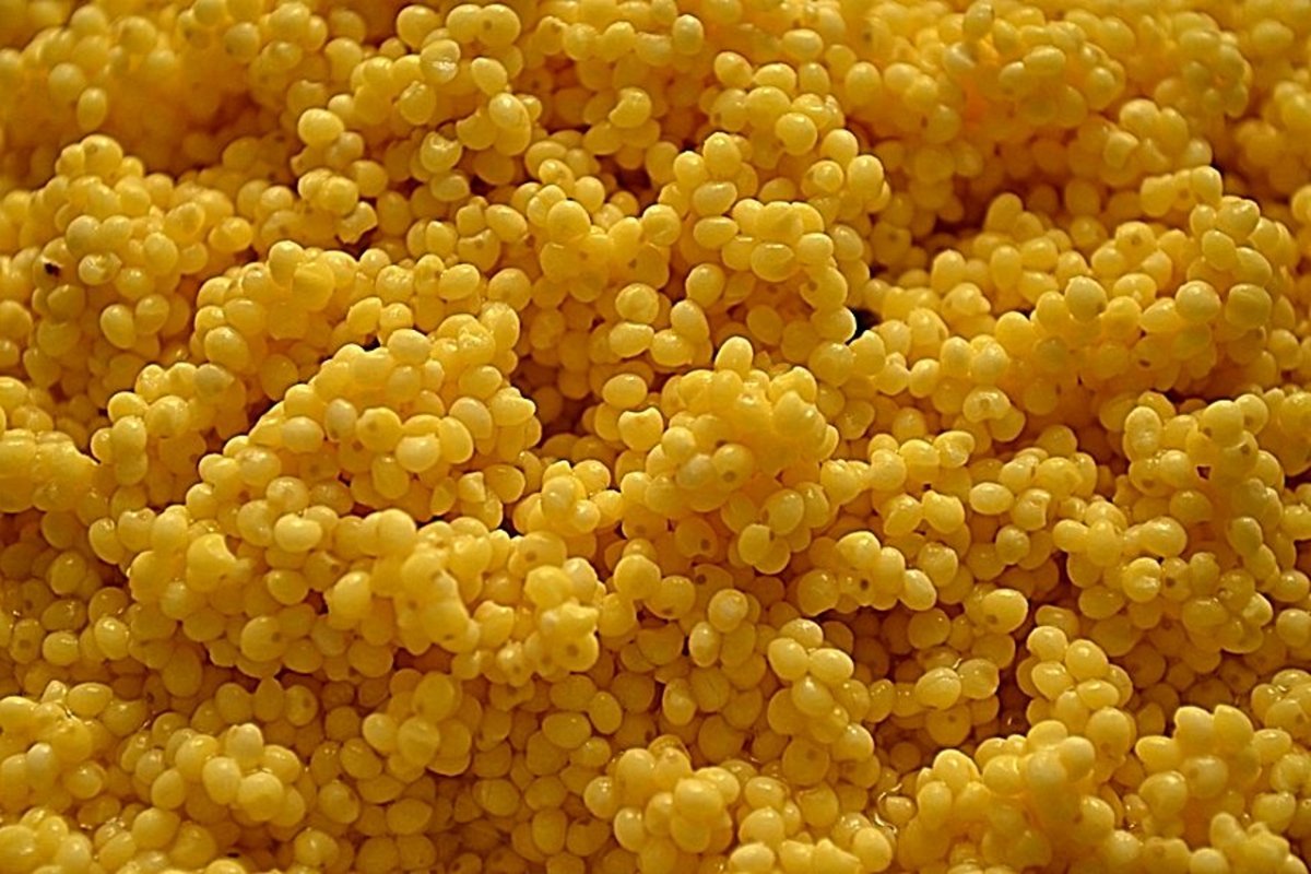 Пшено просо